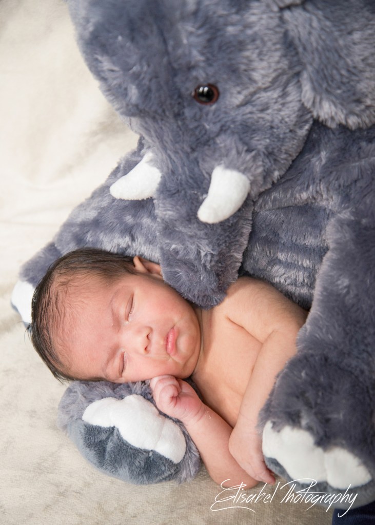 Elisabel Photography-5403-2