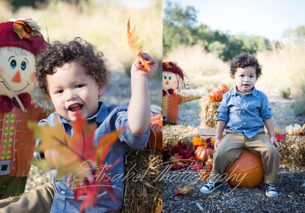 Elisabel Photography Fall Mini